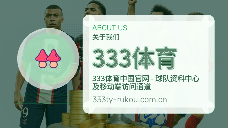 333体育球迷交流服务介绍